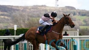 De Bromhead convinced Bob Olinger did not show his best