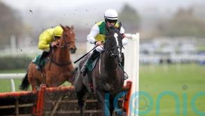Hillcrest ‘fine’ but finished for the season after Cheltenham disappointment