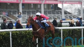 Bill Turner hoping to make it magnificent seven of Brocklesby wins