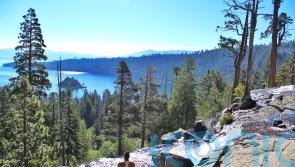International Day of Forests: 5 forests to get lost in this summer