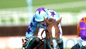 Punchestown target for Bardenstown Lad