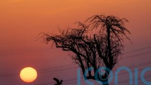 UN chief: Don’t let Russia crisis fuel climate destruction