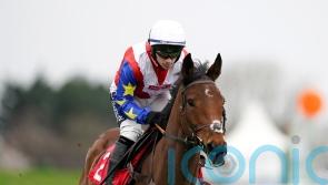 Fehily savouring Festival success with Love Envoi