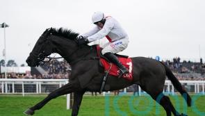 Sandown calling for Nube Negra