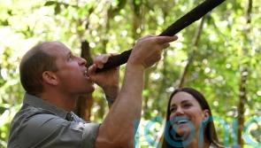 Duke shows off survival skills during Belize jungle visit