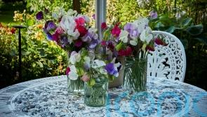 8 top tips to spruce up your garden furniture for springtime