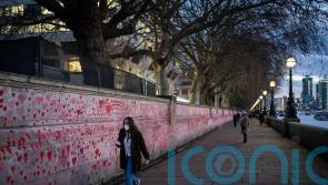 Decline in number of Covid-19 weekly deaths in England and Wales stalls