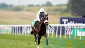 Sandrine heading straight for 1000 Guineas