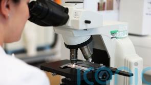 People with specific gene mutations ‘less likely to have children’