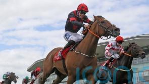 McGuinness assembling strong team for Irish Lincolnshire