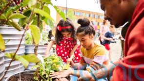 Winners of Civic Arts Organisations award showed ‘resilience’ during pandemic