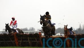 Spring festival on Cobblers Dream agenda before fences switch