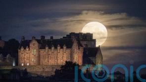 Outdoor attractions fare better as Covid pandemic sees tourist numbers plunge