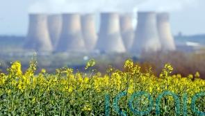 Sunflower oil shortage sees rapeseed oil added to foods without label changes