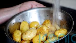 Mairi Gougeon: Potato exporters have been told to ‘disinvest’ from Russia