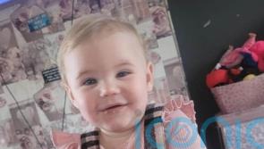 Dog which attacked toddler was not a banned breed, police say