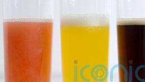 Artificial sweeteners linked to breast and obesity cancers in new study