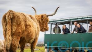 Agritourism provides major benefits for Scotland’s rural sector, research finds