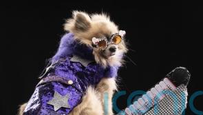 Elton John superfan toasts the Rocket Man’s 75th birthday with help of lookalike Pomeranian pooch who dresses up like the star