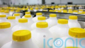 ‘We are calling time on cheap milk’, says Arla boss as farmers’ costs soar