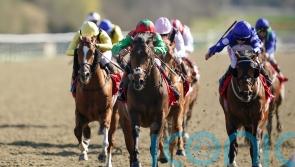 Diligent Harry out to kick off campaign with Cammidge glory