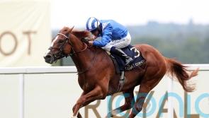 Haggas retains full faith in Mohaafeth ahead of Dubai Turf return