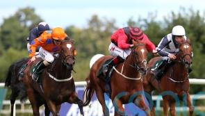 Twomey outlines Classic target for Limiti De Greccio