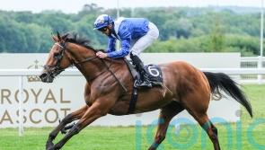 Lord North shares Dubai Turf with Panthalassa
