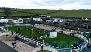 Scudamore issues positive bulletin on jockey Conner McCann