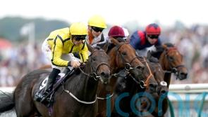 Perfect Power could test Classic claims in Greenham