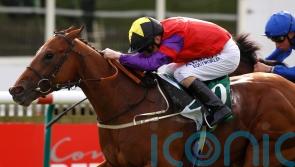 Joe Fanning pays tribute to ‘gentleman’ The Last Lion