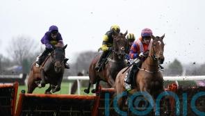 Sea Sessions set for Cheltenham return after Festival disappointment
