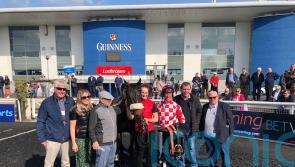 Impulsive Dancer floors stablemate Mercurey at Limerick