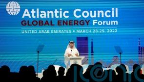 UAE energy chief doubles down on Opec alliance with Russia