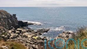 National Trust acquires 7km stretch of Dorset coastline