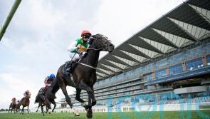 Coronation Cup defence a possible option for Pyledriver