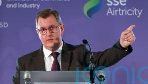 Travel pass scheme for Irish border will not damage NI tourism, vows Donaldson