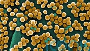 UK scientists’ breakthrough could save millions from drug-resistant infections