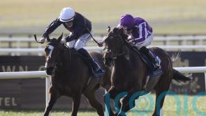 McCreery thinking big for Insinuendo