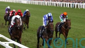 Brilliant Baaeed all set to return in Lockinge Stakes