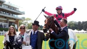 Oxted poised for York before Royal Ascot repeat