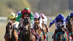 Cox anticipating improvement from Doncaster second Diligent Harry
