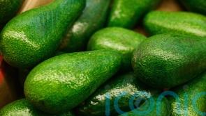 An avocado a week ‘cuts risk of heart disease’ – 8 delicious ways to get more into your diet