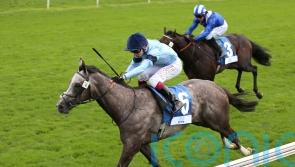 Harrow primed for Blue Trail rematch in Chelmsford cracker