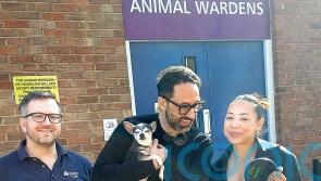 ‘It’s a remarkable case’ – Dog reunited with owner 10 years after being stolen