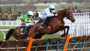 De Bromhead heavyweights heading to Punchestown