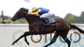 Menuisier searching for successor to former star Wonderful Tonight