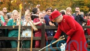 Queen ‘deeply touched’ after more than one million Jubilee trees planted