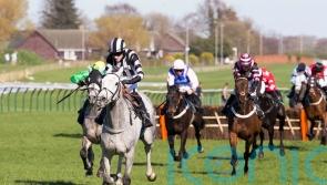Jardine expects Cool to be in Scottish National Mix
