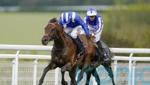 Hukum in good shape after Sheema Classic effort